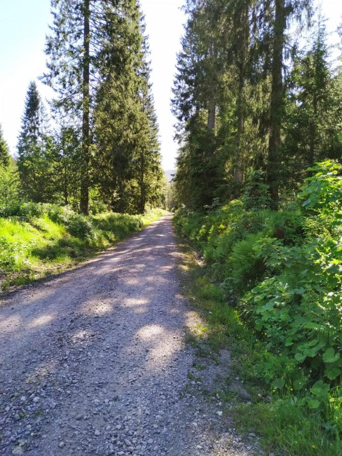 Ferienwohnung Feldberg - Residenz Grafenmatt Bagian luar foto