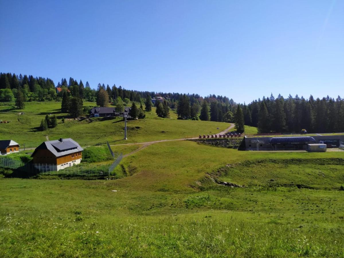 Ferienwohnung Feldberg - Residenz Grafenmatt Bagian luar foto