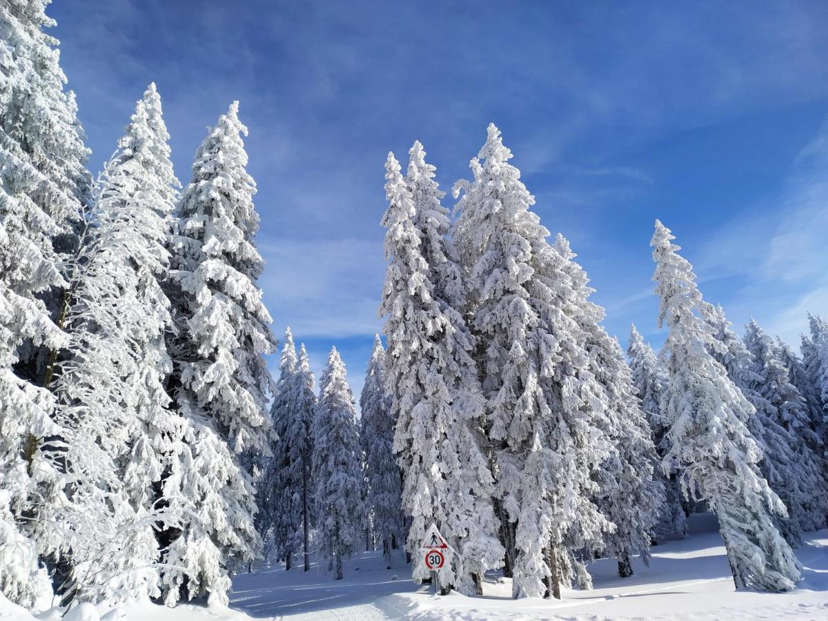 Ferienwohnung Feldberg - Residenz Grafenmatt Bagian luar foto