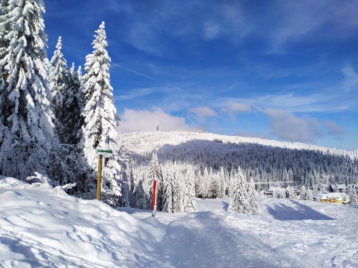 Ferienwohnung Feldberg - Residenz Grafenmatt Bagian luar foto