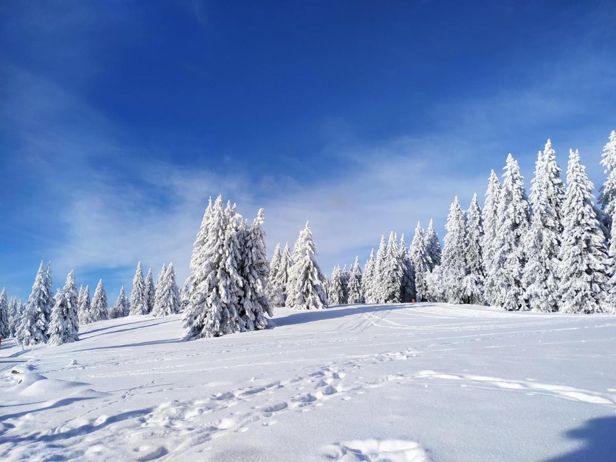 Ferienwohnung Feldberg - Residenz Grafenmatt Bagian luar foto