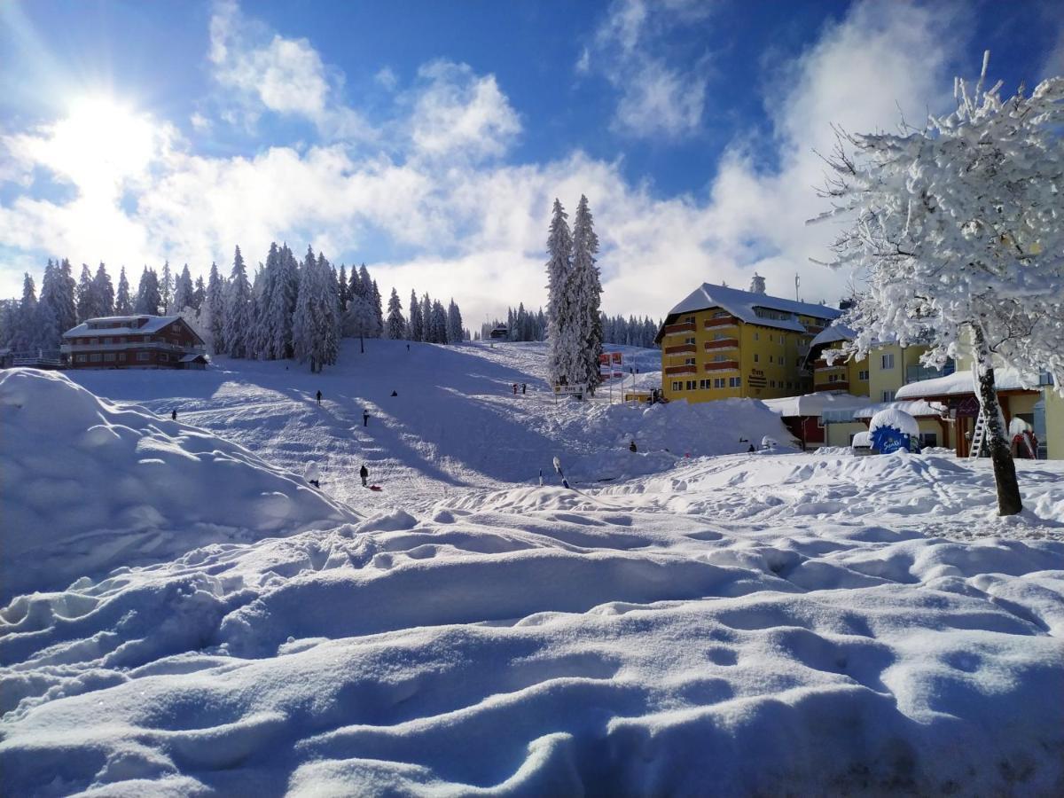 Ferienwohnung Feldberg - Residenz Grafenmatt Bagian luar foto